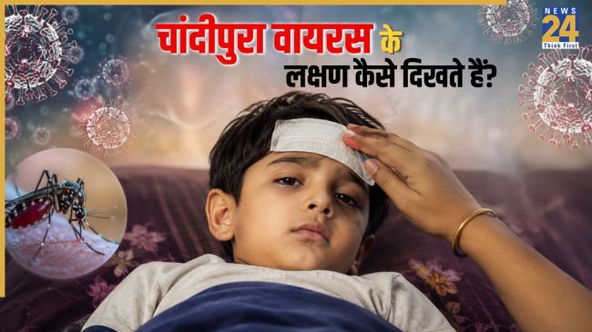 Chandipura virus symptoms
