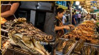 Crocodile Meat Countries