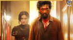 DC Box Office Collection Day 5