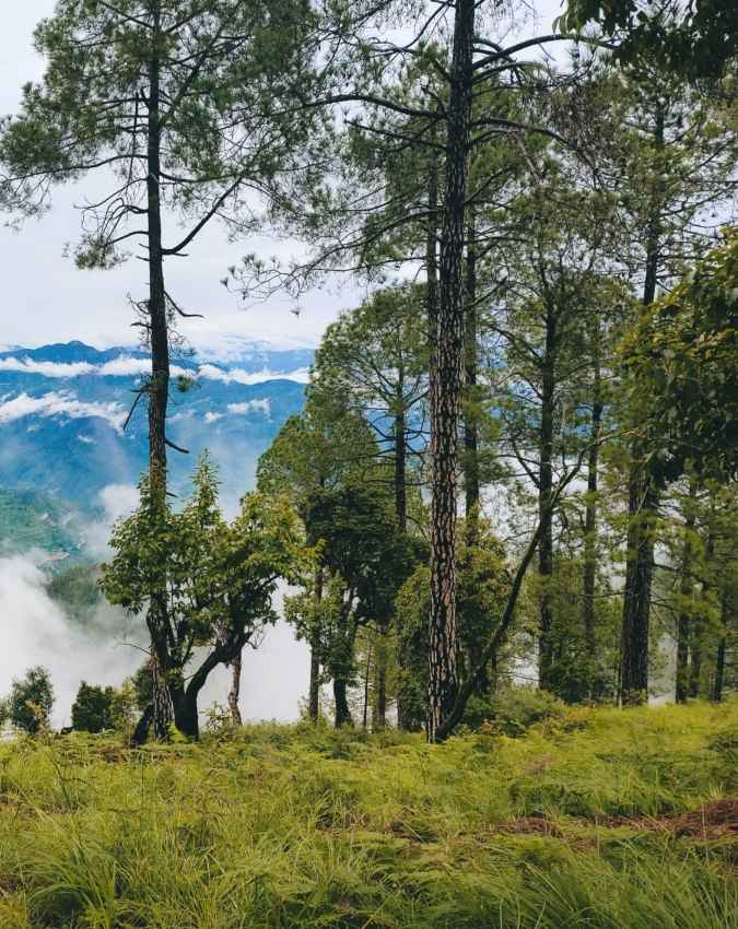 शांति और सुकून के लिए आते पर्यटक