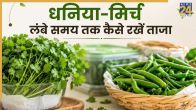 How To Keep Dhaniya mirch