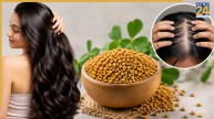 Fenugreek Seeds For Hair Fall Control