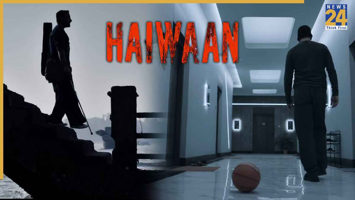 Haiwaan