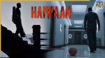 Haiwaan