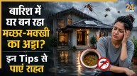 Mosquito Control Tips