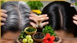 Natural Hair Dye For Grey Hair At Home