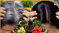 Natural Hair Dye For Grey Hair At Home