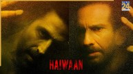 Haiwaan