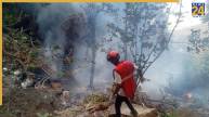 Helicopter Crash | Kenya | Accident