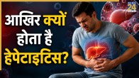 what is hepatitis and reason