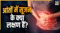 Intestine Swelling Inflammatory bowel disease IBD