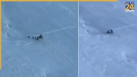 indian army | rescue operation | ladakh