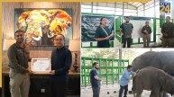 Vantara Indonesia MoU, Sumatran Elephant Care, Way Kambas Hospital Upgrade, Hospital on Wheels Wildlife, Anant Ambani Vantara