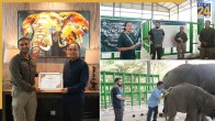 Vantara Indonesia MoU, Sumatran Elephant Care, Way Kambas Hospital Upgrade, Hospital on Wheels Wildlife, Anant Ambani Vantara