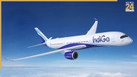 indigo flight