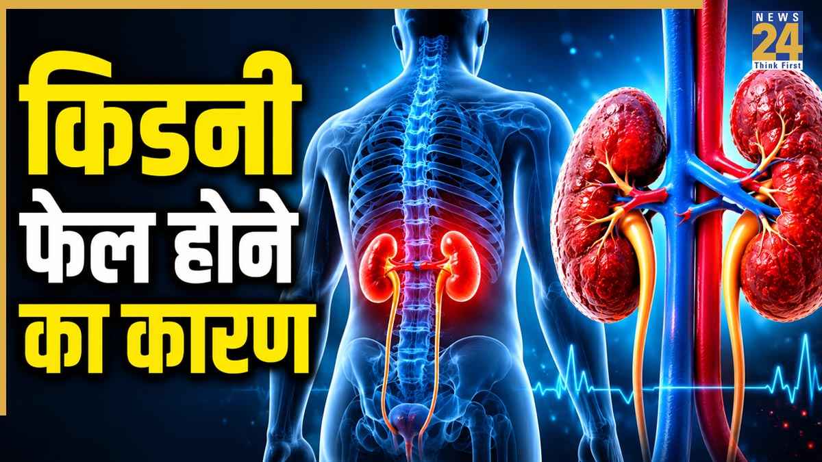 क्यों होती है किडनी फेल? डॉक्टर ने बताए मुख्य कारण, जानिए कब पड़ती है ट्रांसप्लांट की जरूरत