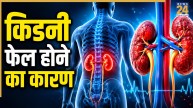 Kidney Failure