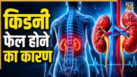 Kidney Failure