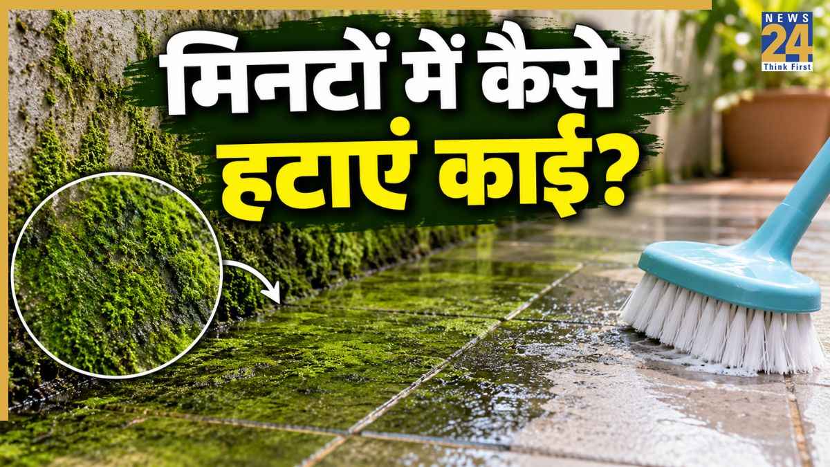How to clean kai from floor How to clean kai from floor
