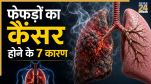 Lung Cancer Risk Factors