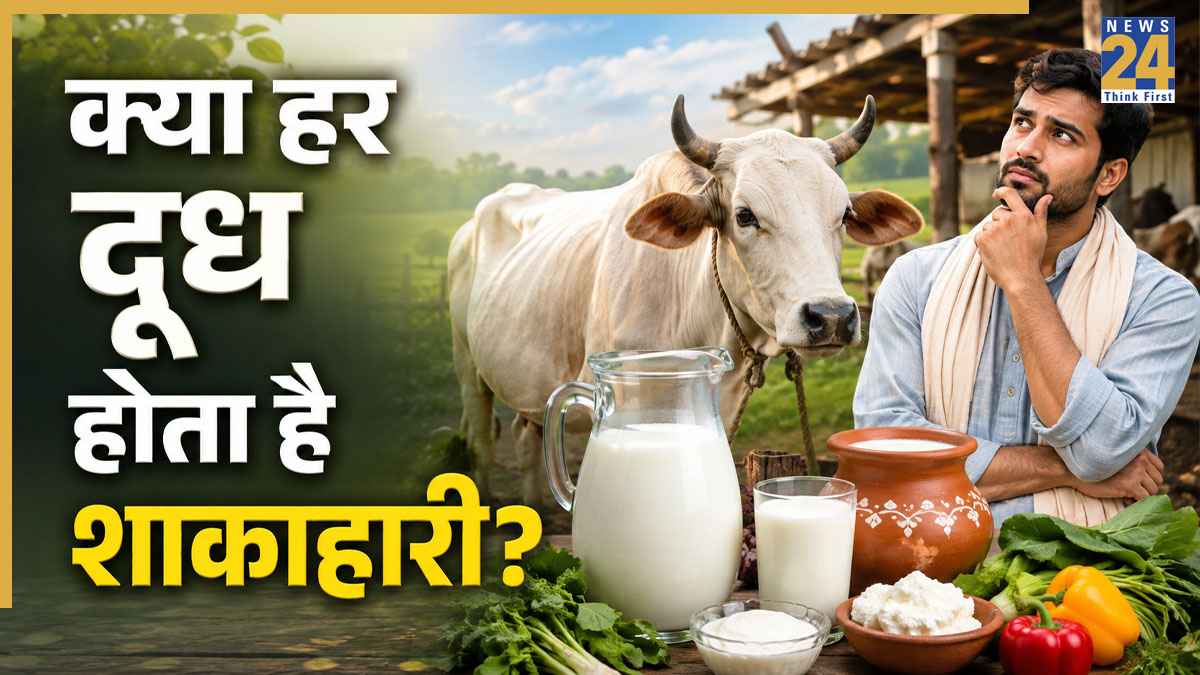 क्या दूध भी होता है मांसाहार? जानिए वेज और नॉनवेज दूध में क्या होता है अंतर, कैसे किया जाता तैयार