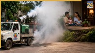 Is Mosquito Fogging Smoke Harmful For Humans