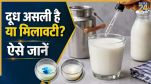 Milk Purity Test