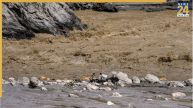Tibet Barrier Lake Burst, Nepal Floods, Nepal Flash Flood, Nepal Floods Death Toll, Bhote Koshi, Trishuli River High Alert, Tsangpo Lake Overflow, Nepal NDRRMA, Flood Warning, Tibet Dam
