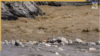 Tibet Barrier Lake Burst, Nepal Floods, Nepal Flash Flood, Nepal Floods Death Toll, Bhote Koshi, Trishuli River High Alert, Tsangpo Lake Overflow, Nepal NDRRMA, Flood Warning, Tibet Dam