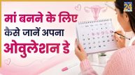 Ovulation calculator