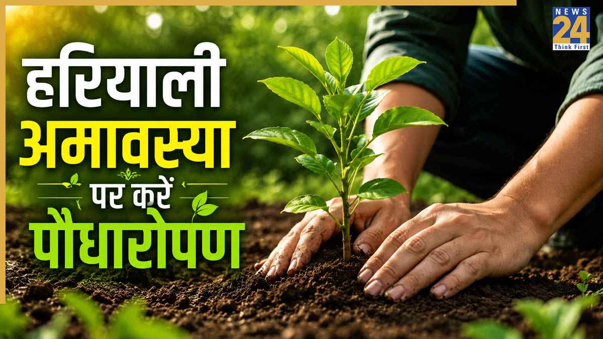 Hariyali Amavasya 2026 Today: प्रकृति संरक्षण का संदेश देती है हरियाली अमावस्या, आज जरूर लगाएं ये 5 शुभ पौधे, मिलेगा समृद्धि का आशीर्वाद