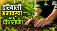 Hariyali Amavasya 2026 Today: प्रकृति संरक्षण का संदेश देती है हरियाली अमावस्या, आज जरूर लगाएं ये 5 शुभ पौधे, मिलेगा समृद्धि का आशीर्वाद