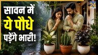 Plant-Vastu-Rules
