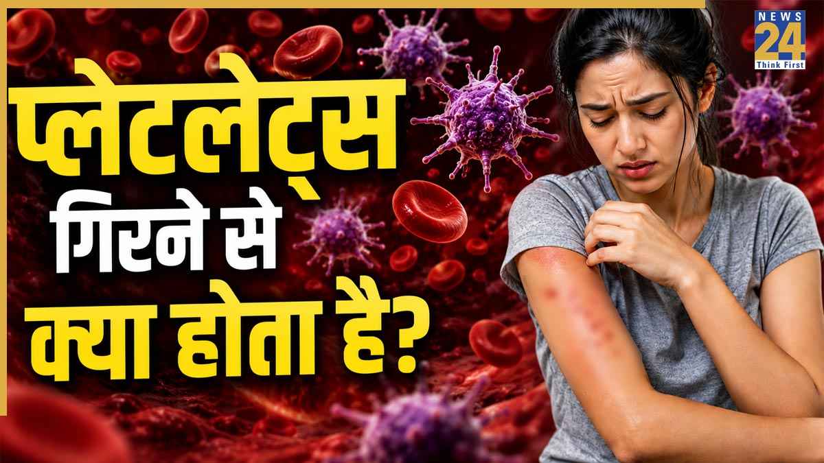 डेंगू में प्लेटलेट्स गिरना कितना खतरनाक? AIIMS की गाइडलाइन से समझें क्या करना चाहिए