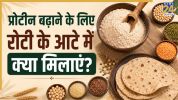Protein Rich Roti