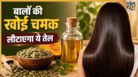 Pumpkin Seeds Oil