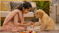Raksha Bandhan 2026: पालतू जानवरों को राखी बांधना शास्त्रसम्मत है या नहीं? जानिए इसको लेकर धार्मिक मान्यता