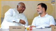 Rahul Gandhi, Punjab Visit Bus Yatra, Rahul Gandhi Golden Temple Visit, Punjab Congress, Punjab Election, Rahul Gandhi Bus Yatra