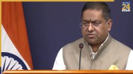 Randhir Jaiswal MEA, India Palestine Relations, Pakistan Frustration India, MEA Secretary Ramallah Visit