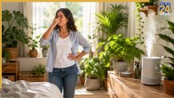 How To Get Rid Of Room Odor Naturally Baking Soda