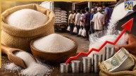 चीनी की सप्लाई-सेल का बदला नियम, बढ़ते दामों पर लगाम लगाने के लिए सरकार ने लिया बड़ा फैसला