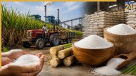 Sugar price hike