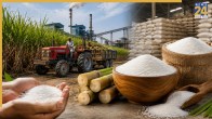 Sugar price hike