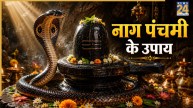 Nag Panchami 2026: नाग पंचमी पर करें कालसर्प दोष मुक्ति के उपाय, जीवन की मुश्किलों का होगा अंत, आएगी सुख-समृद्धि