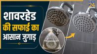 Shower head cleaning