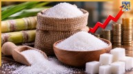 Sugar Price | Ethanol | El Nino