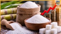 Sugar Price | Ethanol | El Nino