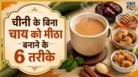 Sugar free tea