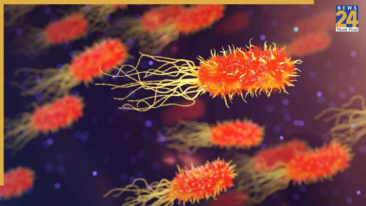 Swine Flu Vs Viral Fever Symptoms Difference