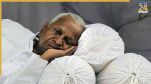 Anna Hazare Health